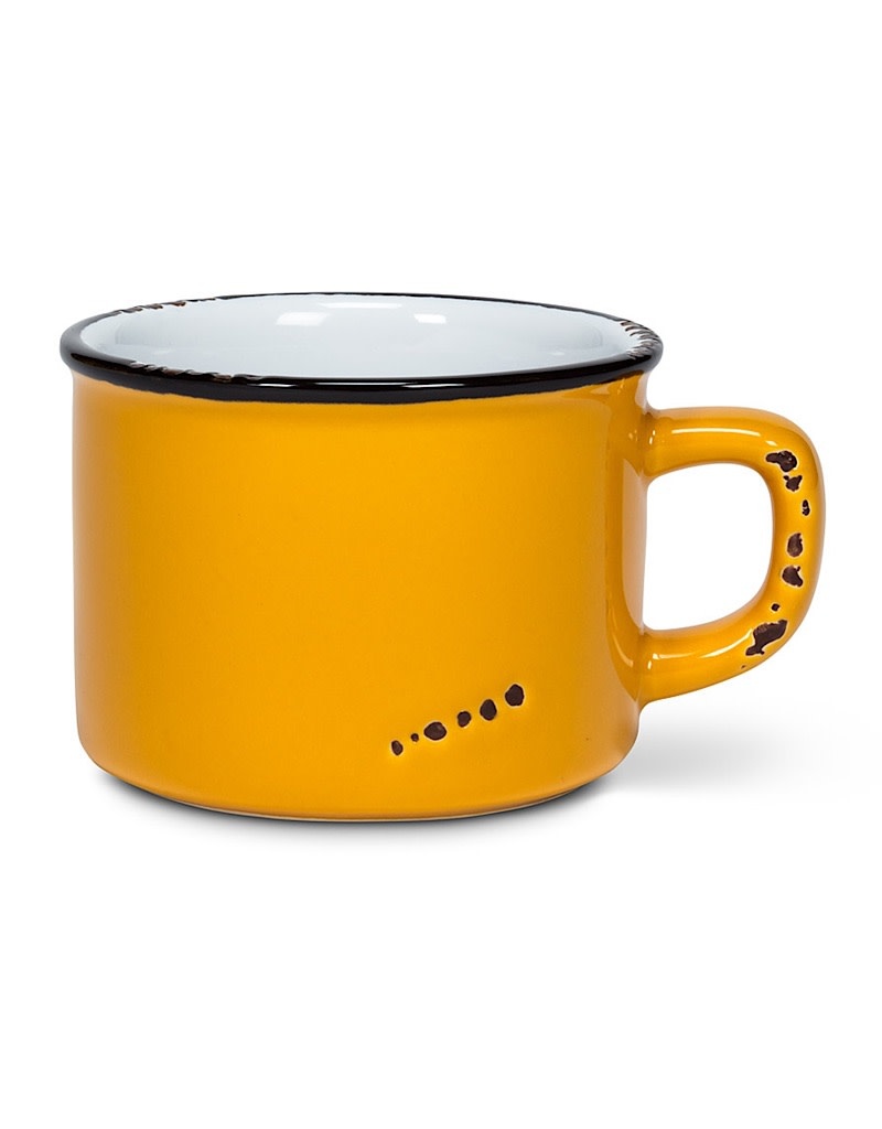 Abbott Enamel Look Cappuccino Mug