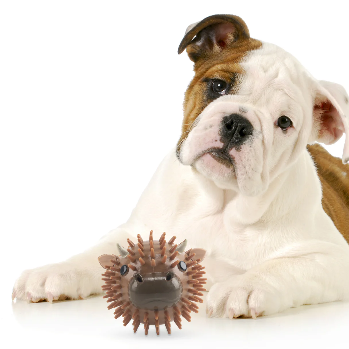 Kikkerland Beef Flavored Cow Dog Ball