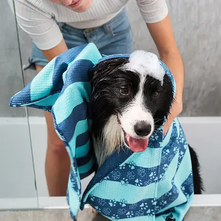 Dog & Bay Dog Days Pet Towel