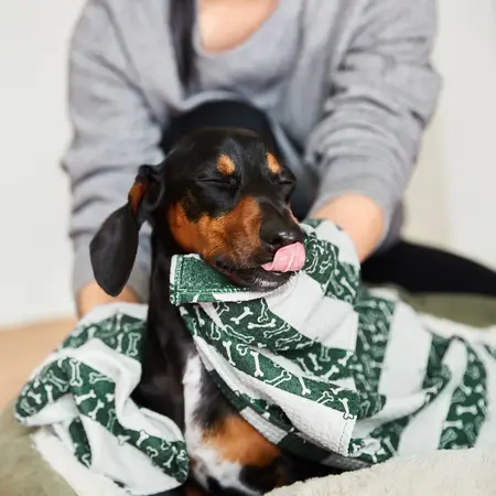 Dog & Bay Bone Dry Pet Towel