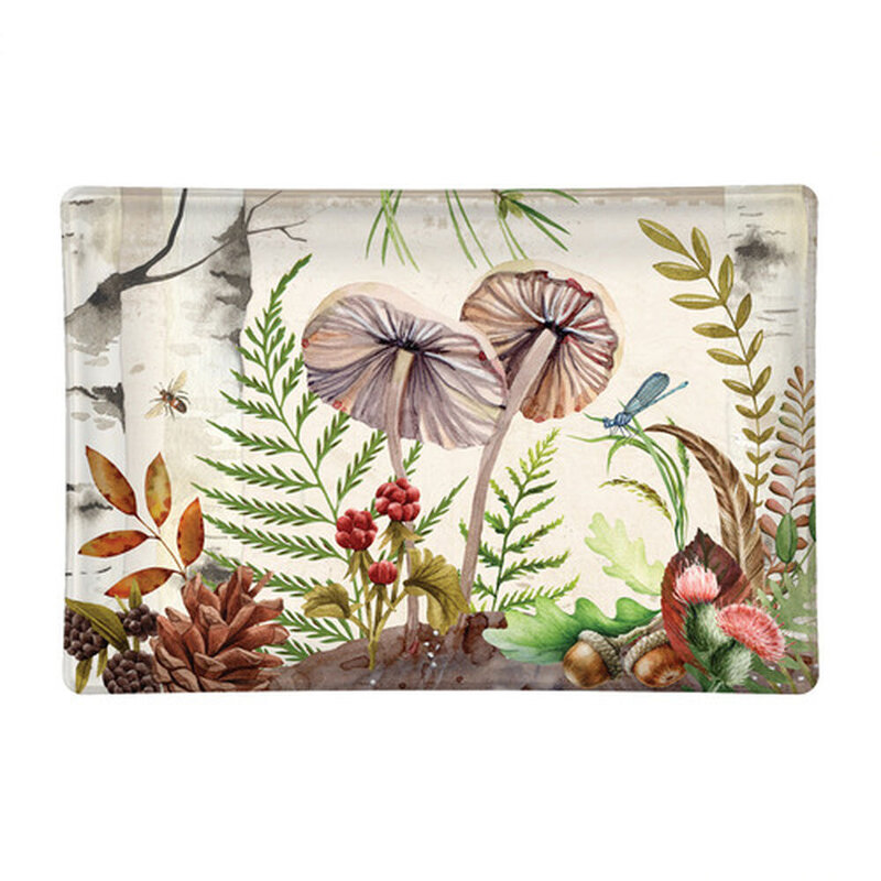 Rectangular Glass Soap Dish