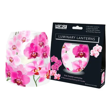 Luminary Lantern pink orchid