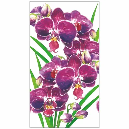 Guest Napkin - Orchidea