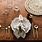 Danica Heirloom Gold Glimmer Napkins (Set of 4)