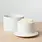 Danica Matte White Butter Crock