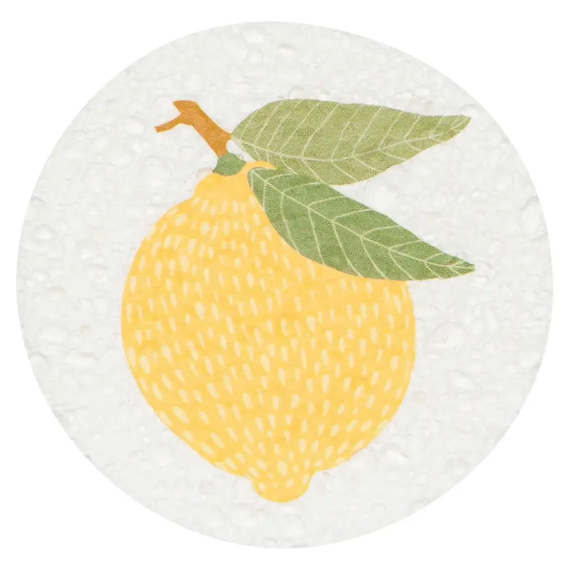 Danica Compostable Sponge