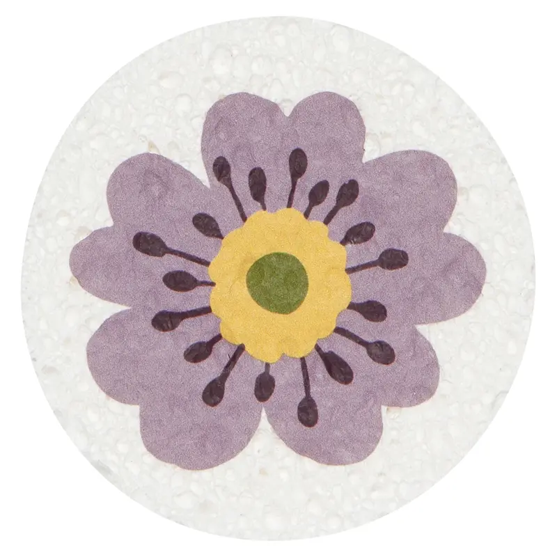 Danica Compostable Sponge