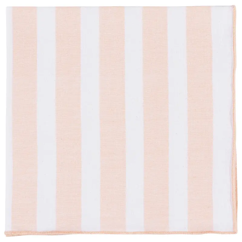 Danica Heirloom Nectar Caban Stripe Napkins (Set of 4)