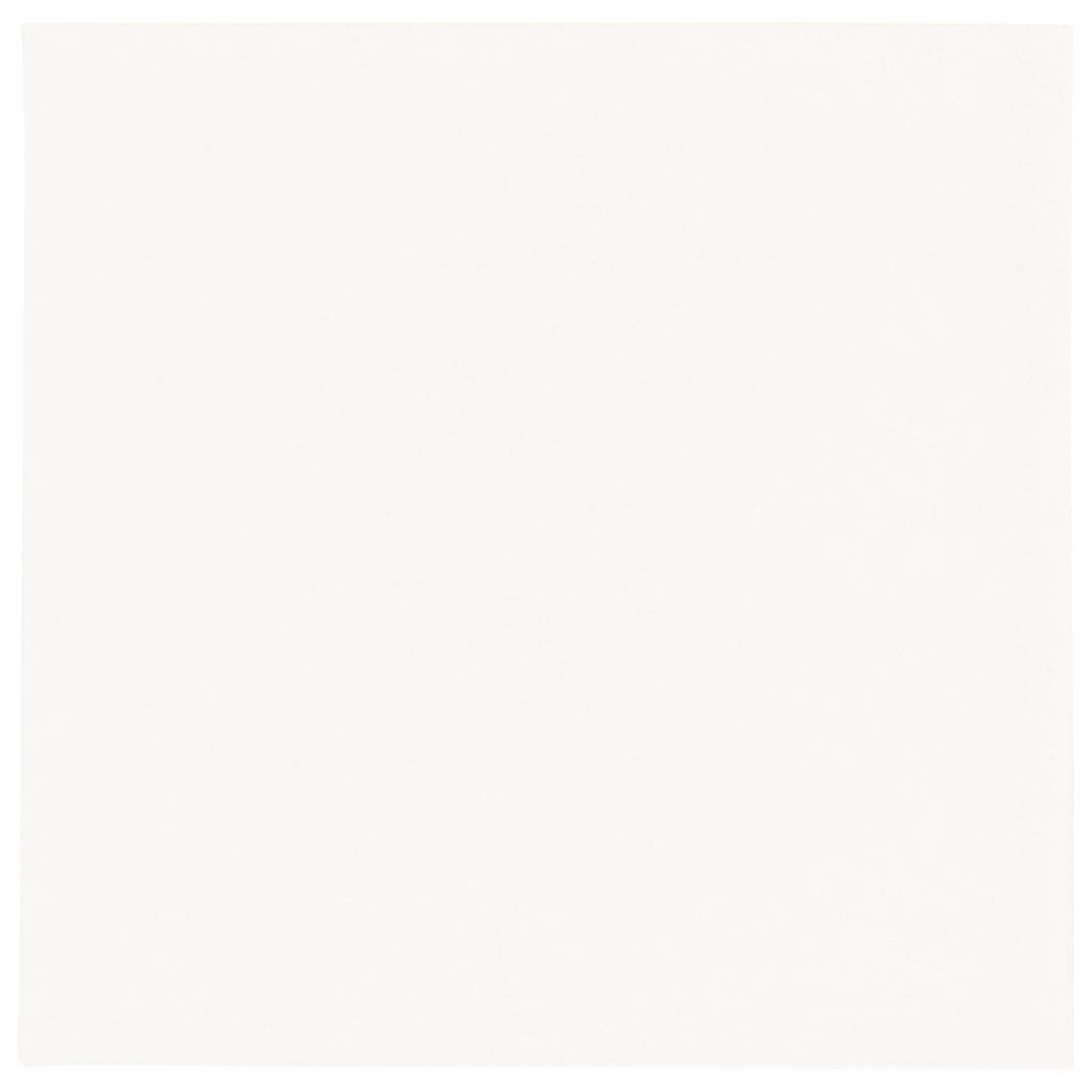 Now Designs White Spectrum Napkins (Set of 4)