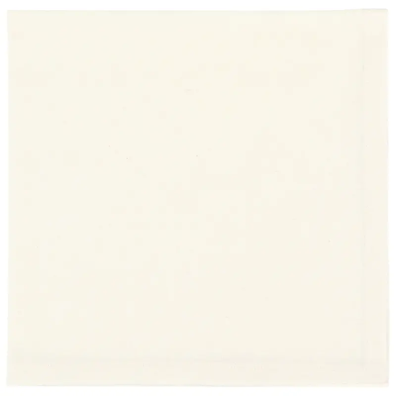 Now Designs Ivory Spectrum Napkins (Set of 4)