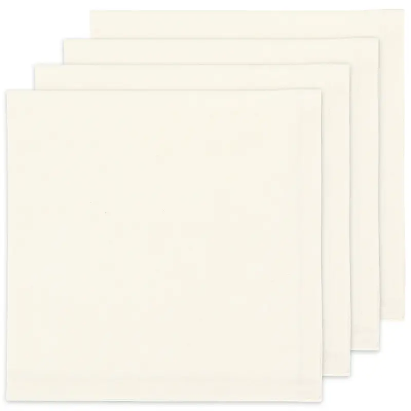 Now Designs Ivory Spectrum Napkins (Set of 4)