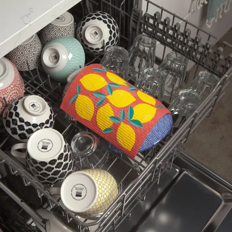 Ecologie by Danica Lemon Swedish Dishcloth