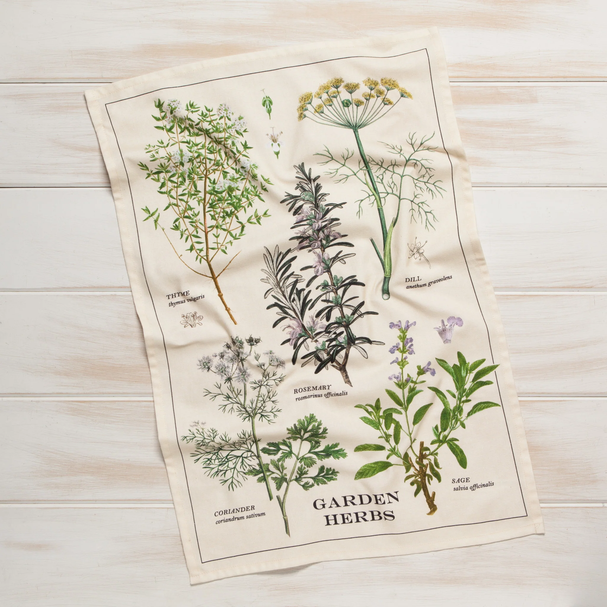 Now Designs Garden Herbs Cotton Dishtowel