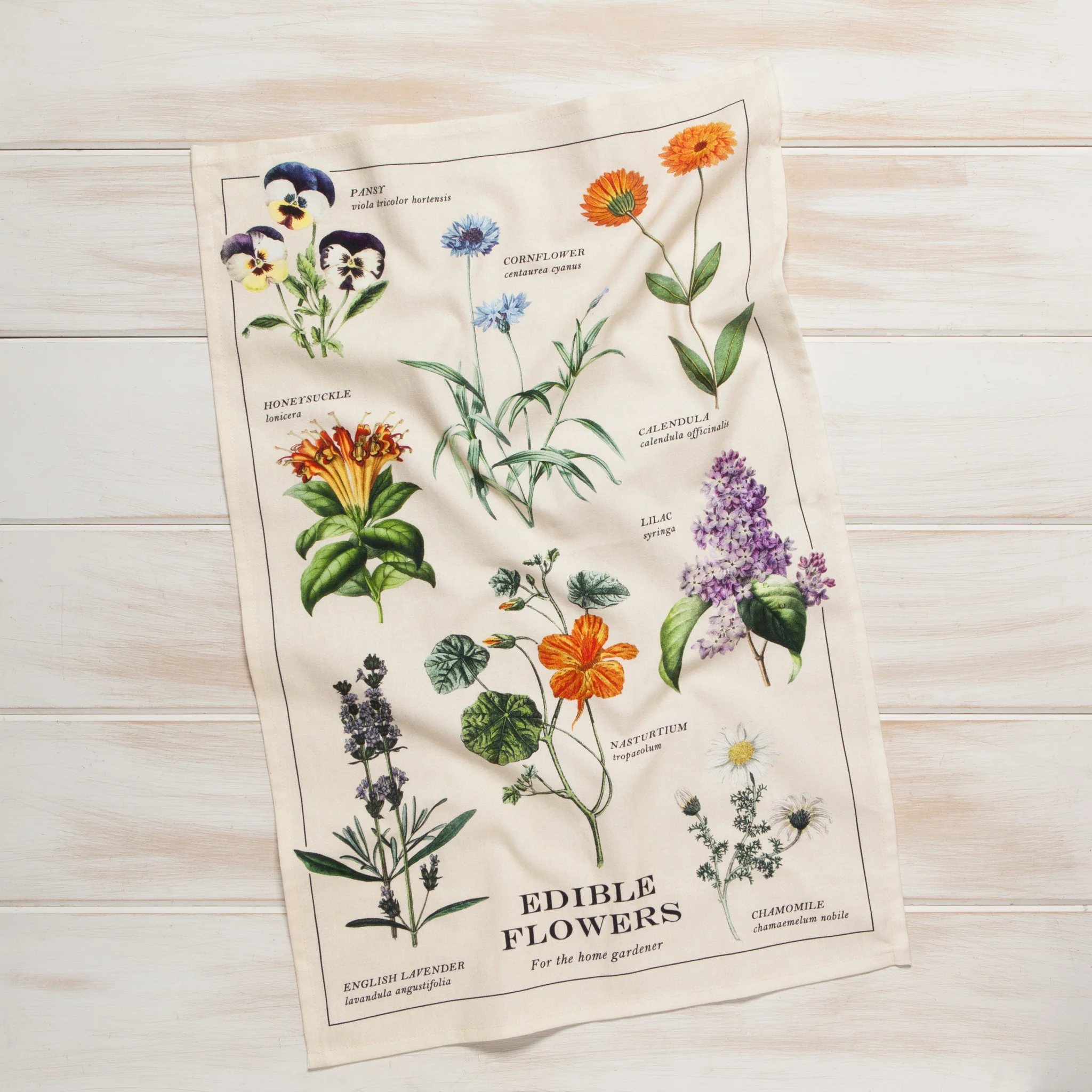 Now Designs Edible Flowers Cotton Dishtowel