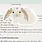 Craftedvan Stationery Crafted Van Magnetic Bookmark, Bunny