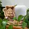 Kikkerland Lucky Cat Money Bank