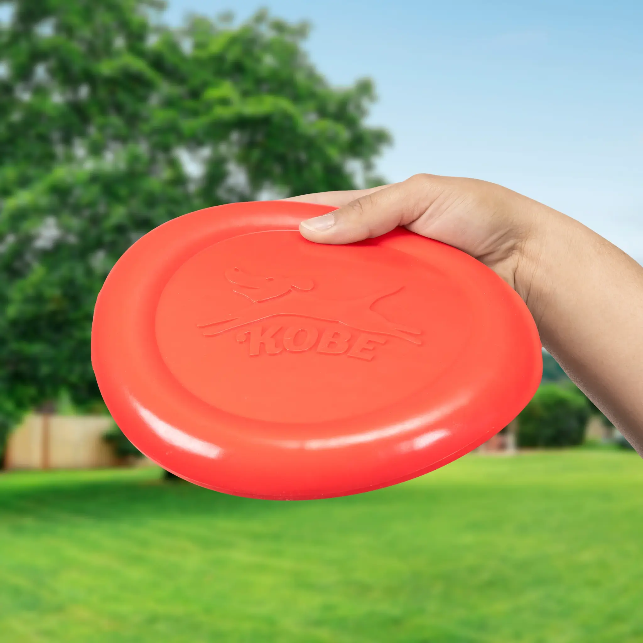 Kikkerland Kobe Bacon Scented Flying Disc