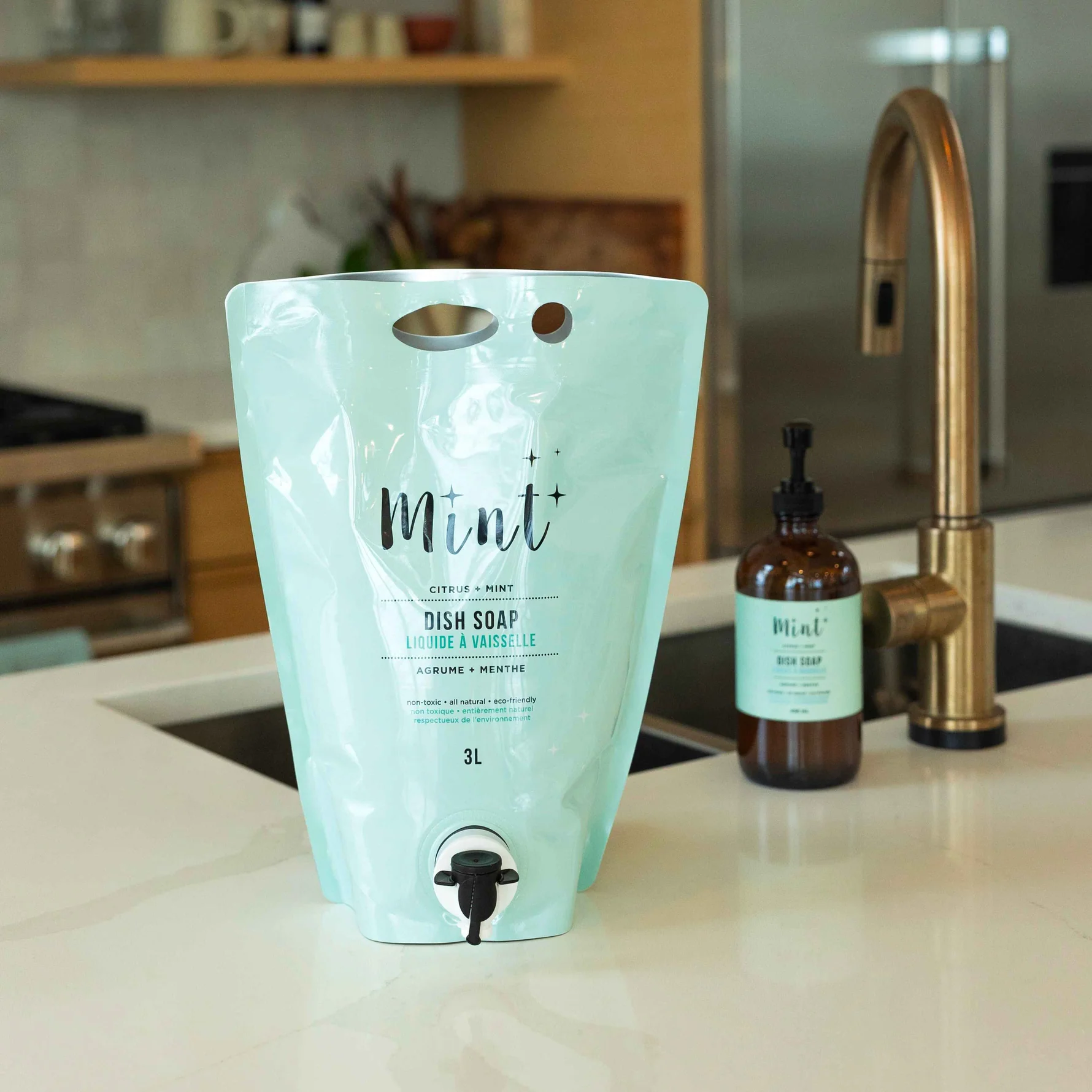 Mint Cleaning Dish Soap Party Pouch (3L)