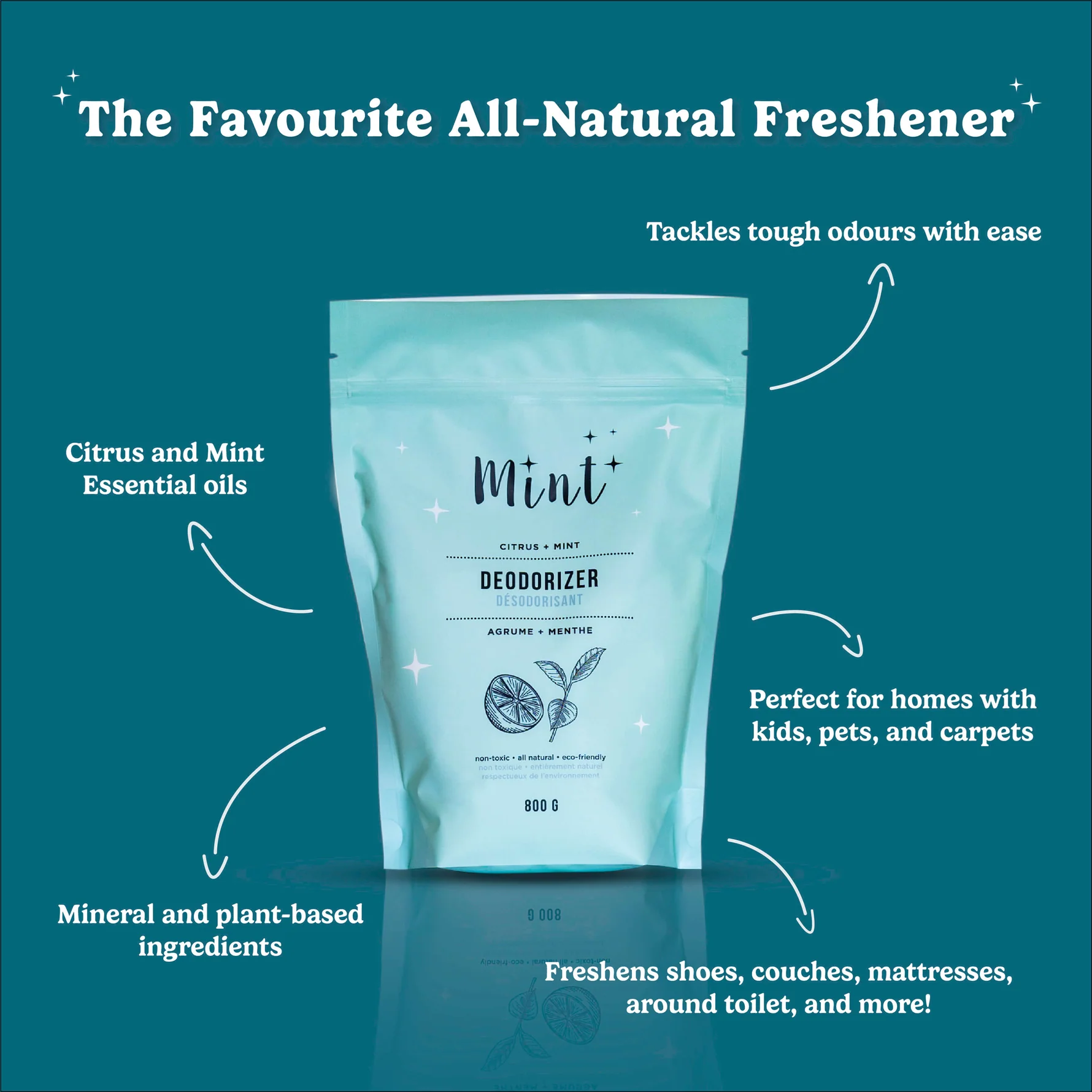 Mint Cleaning Deodorizer