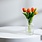 Abbott Lifelike 5 Stem Tulip Bunch