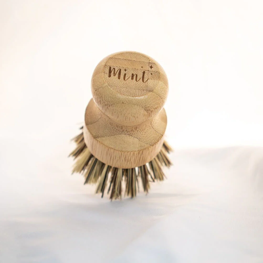 Mint Cleaning Bamboo Dish Brush