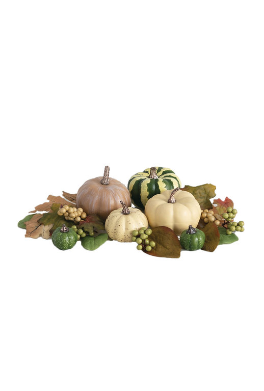 Canfloyd Ensemble de Citrouilles