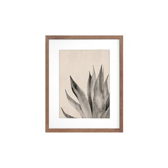 Picture Depot Black Succulent framed print