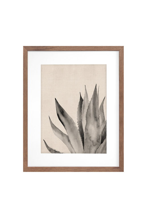 Picture Depot Black Succulent framed print