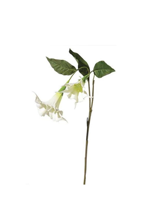 Tige de Pétunias - Crème