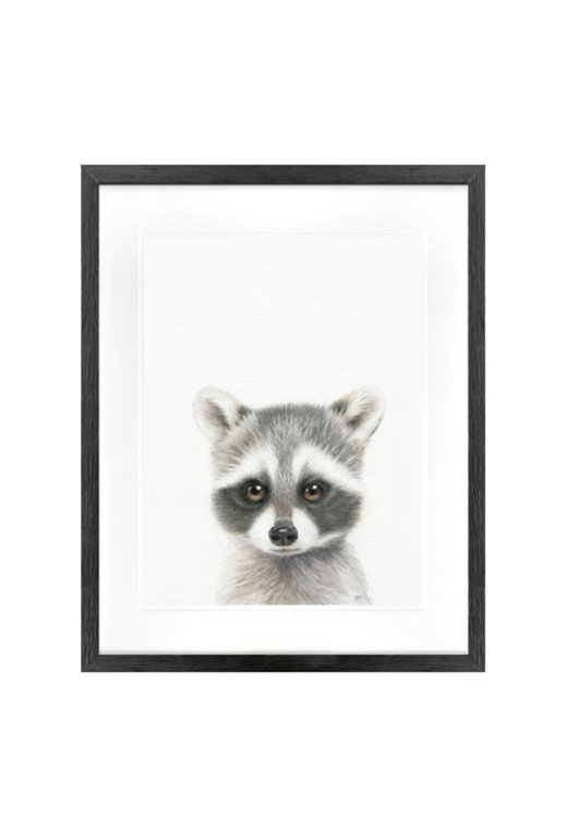 Picture Depot Cadre Coon Baby - 18" x 20"