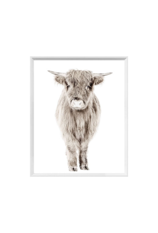 Celadon "Highland calf" Canvas (mini)