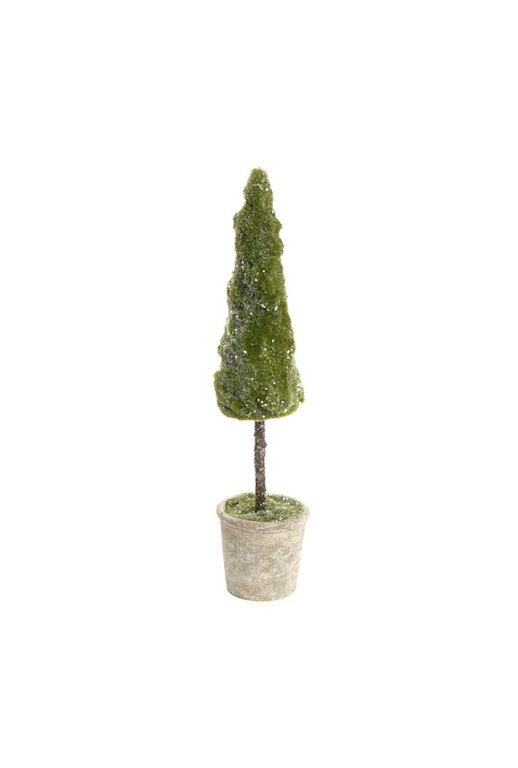 ADV/Pine Center Arbre Mousse en Pot