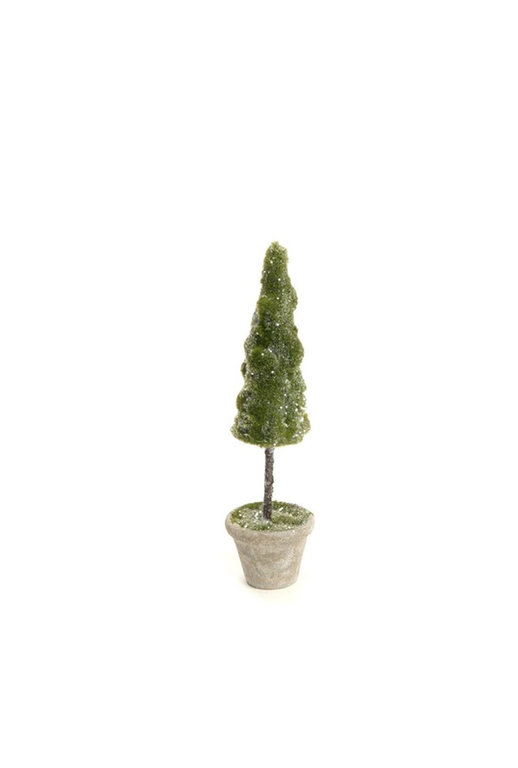 ADV/Pine Center Mossy potted tree