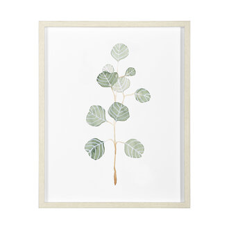 Mercana Frame "Soft Eucalyptus II"