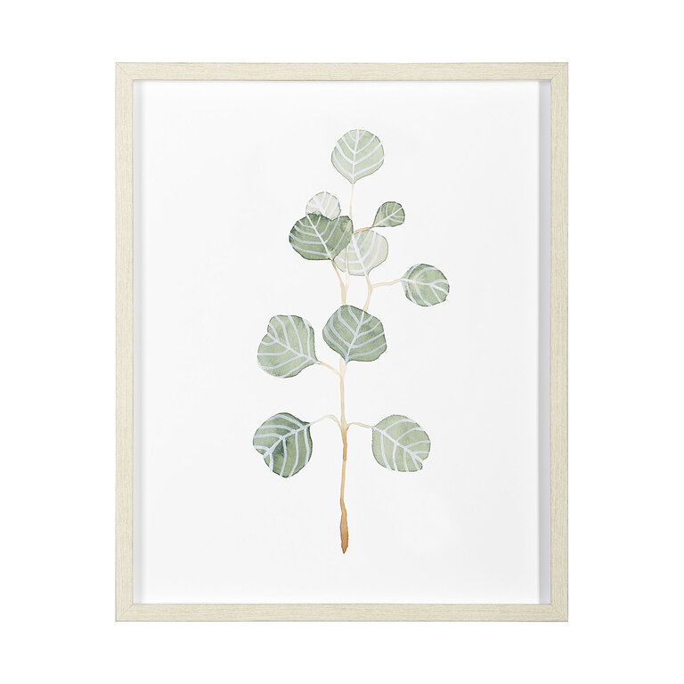 Cadre "Soft Eucalyptus II"