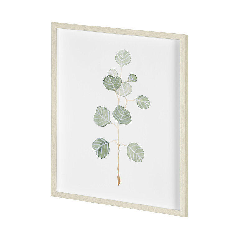Frame "Soft Eucalyptus II"