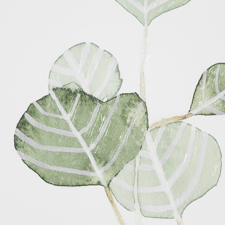 Frame "Soft Eucalyptus II"