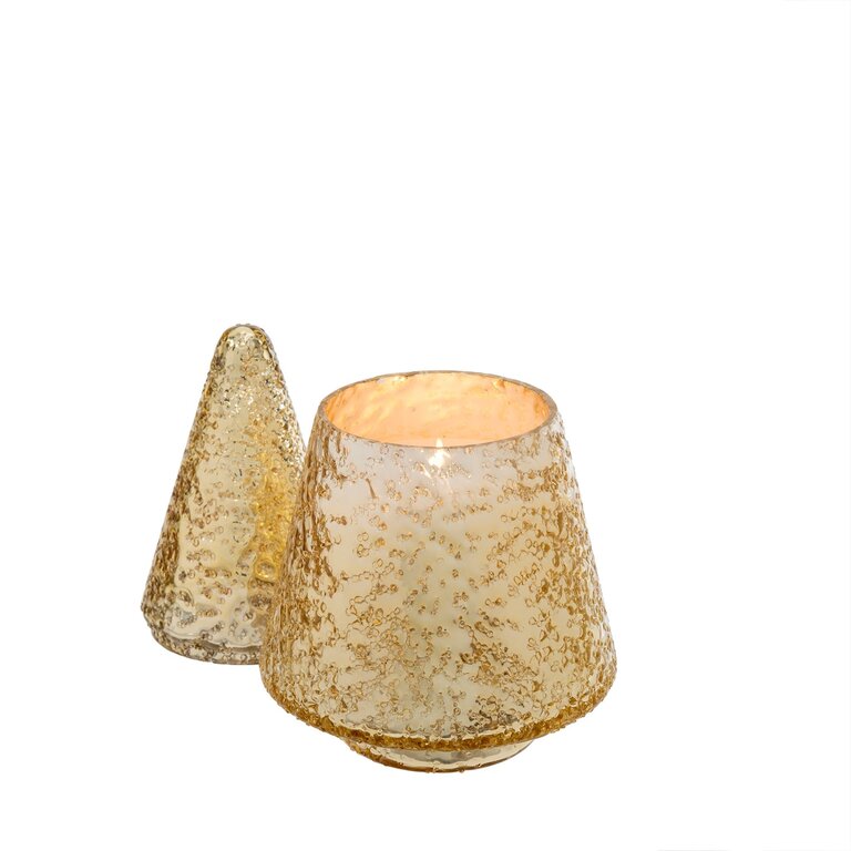 Indaba Trading Golden tree Candle- Large - Amber Spruce