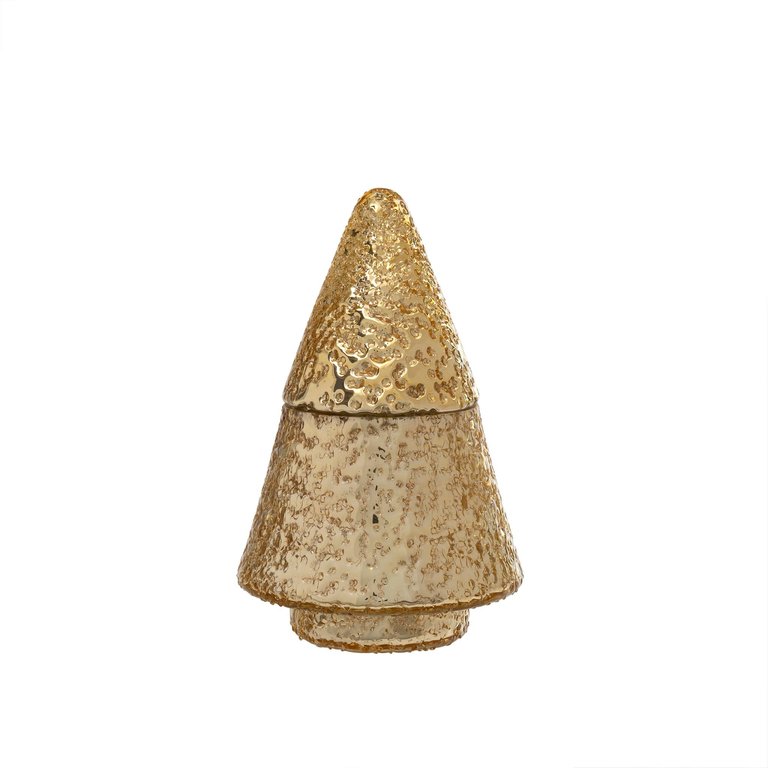 Golden tree Candle- Medium - Amber Spruce