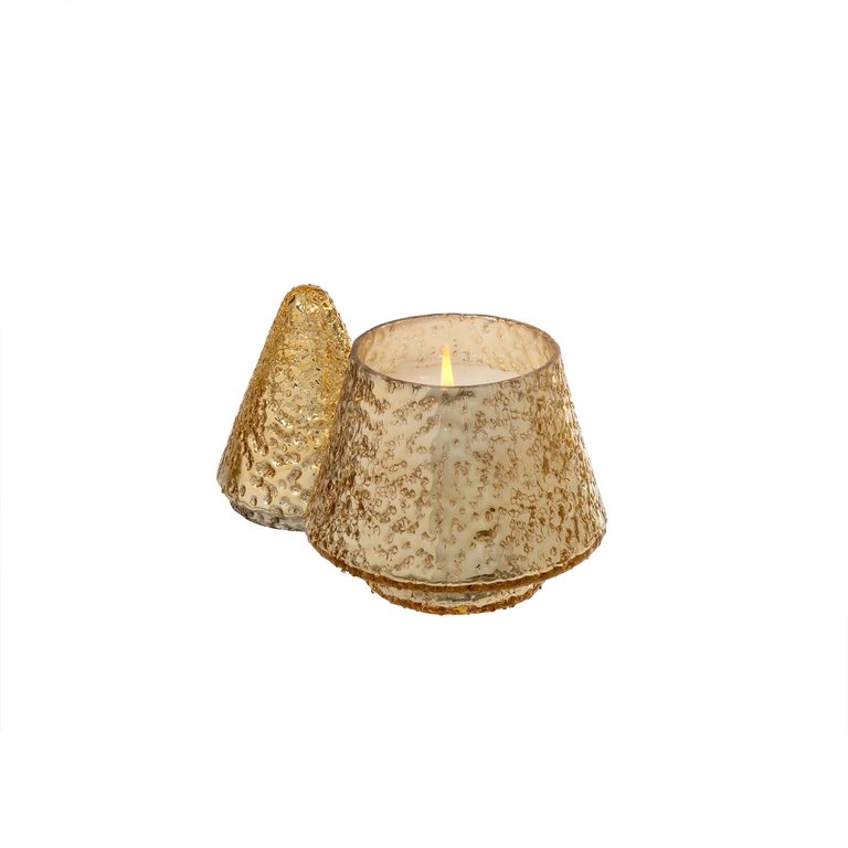Golden tree Candle- Medium - Amber Spruce