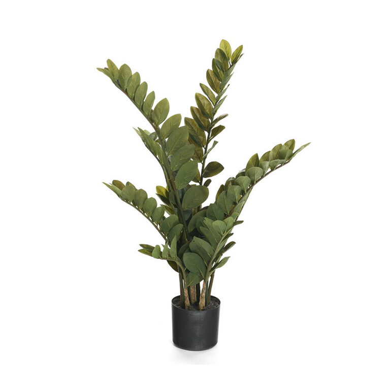 Faux Zamifolia en pot