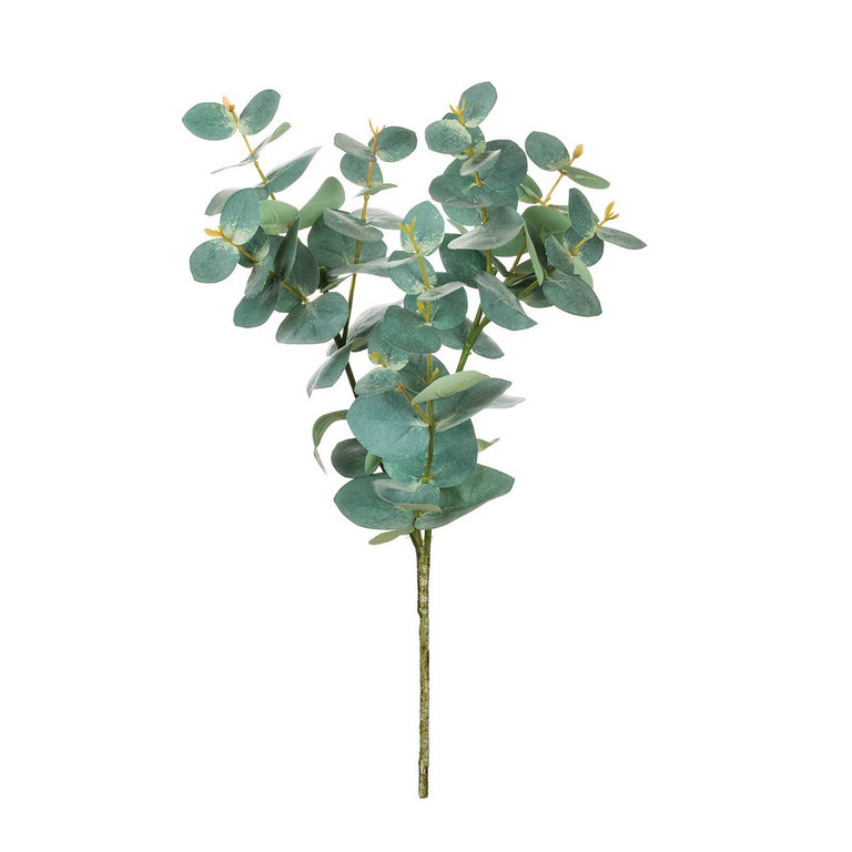 Bouquet d'eucalyptus