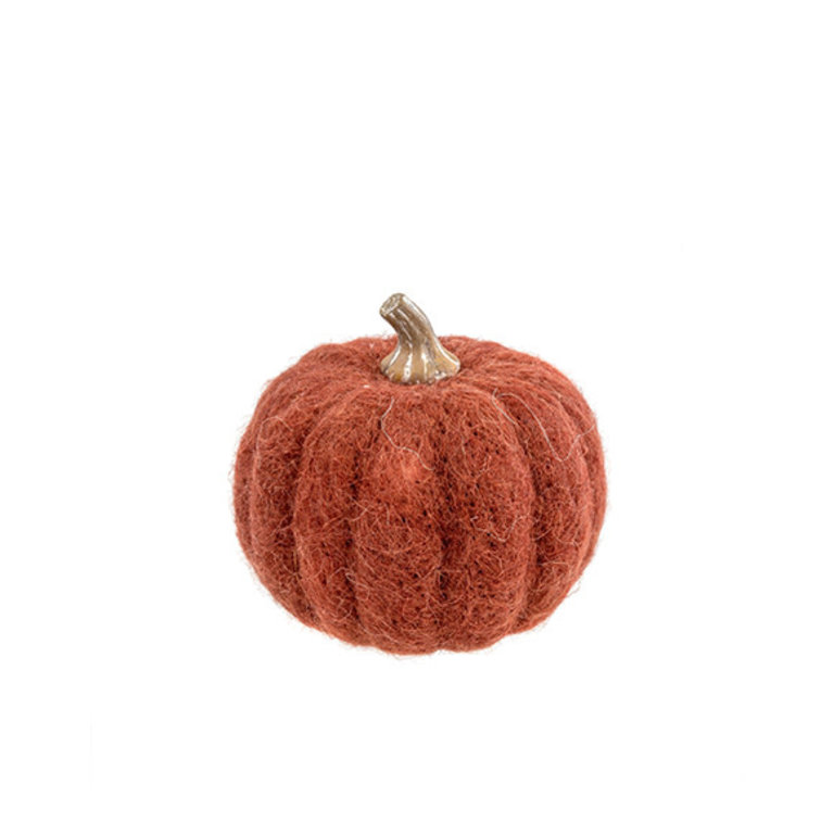 Medium Russet Pumpkin