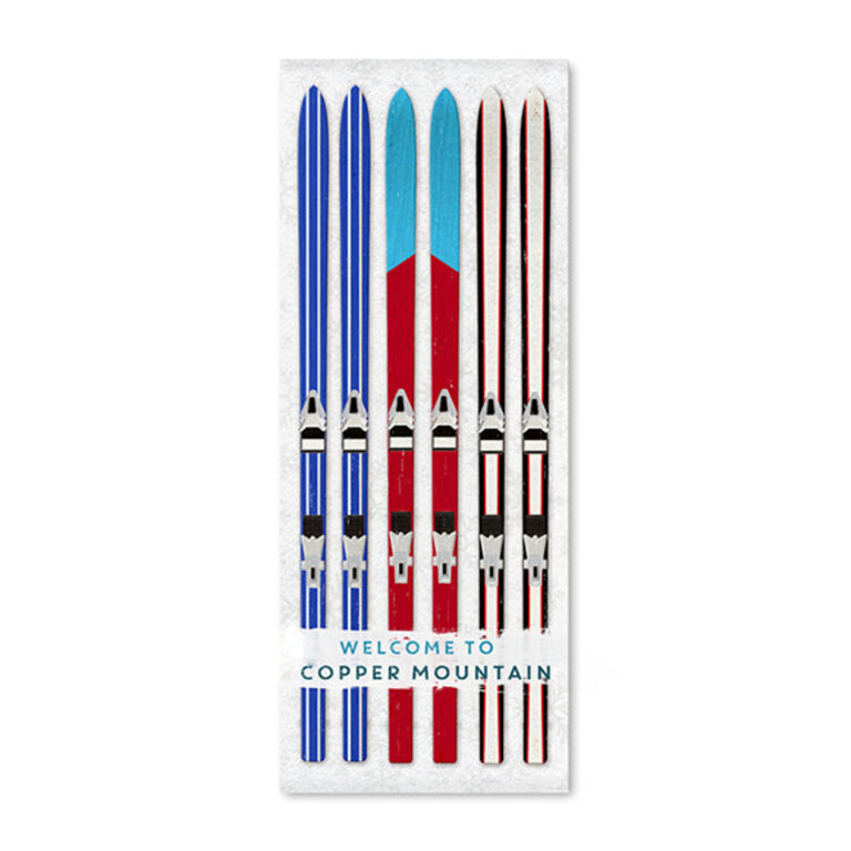 Enseigne Bienvenue skis bleus