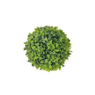 Boxwood Ball - 7"dia