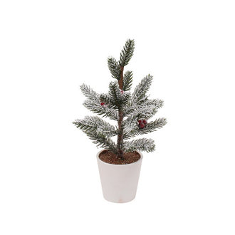 Arbre Canneberges - Petit