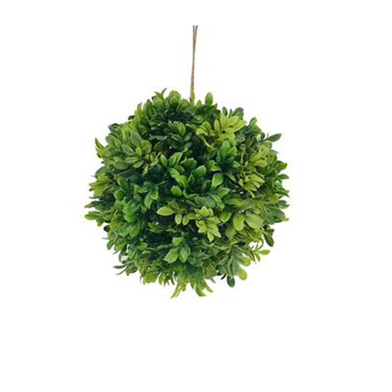 Boule Boxwood