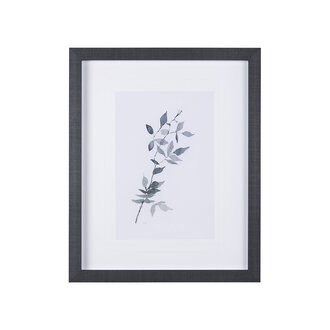 "Leaf Shadow I" Framed art