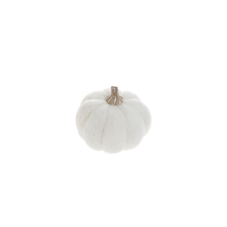 White Pumpkin - Small