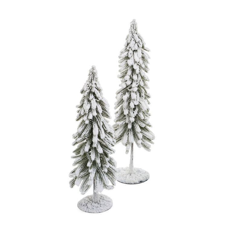 Snowy Fir